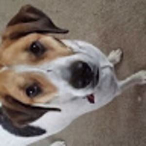 Meet your Posher, Cathy